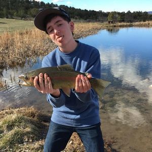 Meet your Posher, Vincent